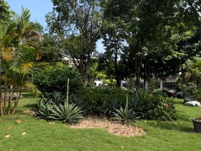 Biệt thự Song lập Hoa Viên Đặng Xá 200m2 Sân rộng làm bể bơi được Giá rẻ nhất 4