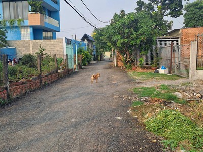 Bán lô đất đẹp vườn lài quận 12 - đường xe tải tránh, 95m2, ngang 6m hiếm, giáp gò vấp chỉ hơn 4 tỷ 1