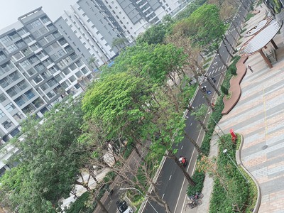 Bán gấp 2pn 63m2 căn hộ emerald celadon city giá 3ti1 4