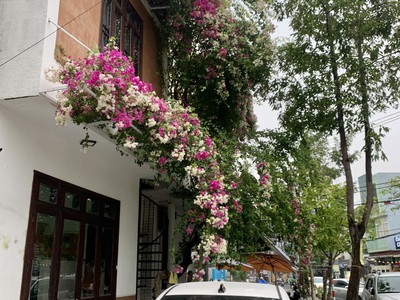 Cho thuê tầng 1 100m2. lô góc 2 mặt tiền đường lương nhữ hộc giao với tố hữu, khuê trung, cẩm lệ, 2