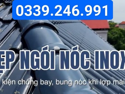 Mua Kẹp ngói inox ở đâu giá tốt 1