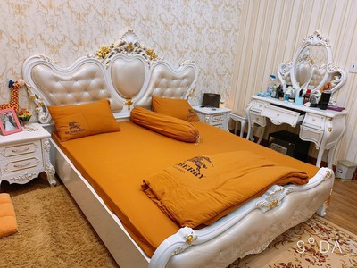 Nhà bán ngay gigamall khu vip hiệp bình chánh q thủ đức hcm 0