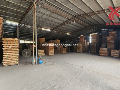 Cho thuê nhà xưởng 9000m2 thiện tân  có 12 lò sấy chỉ 190tr 2