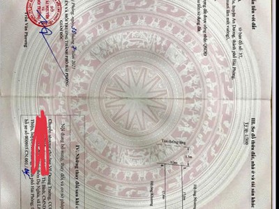 Chính chủ cần bán gấp lô đất siêu đẹp tại thôn ngọ dương, xã an hoà, an dương, hải phòng. 0