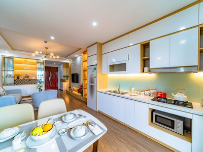 Cơ hội với vốn 800 triệu đầu tư căn 2PN không rủi ro. Cam kết thuê lại 2 năm lãi 33 0