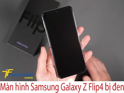 Giải pháp xử lý hiệu quả màn hình Samsung Galaxy Z Flip4 bị đen 0