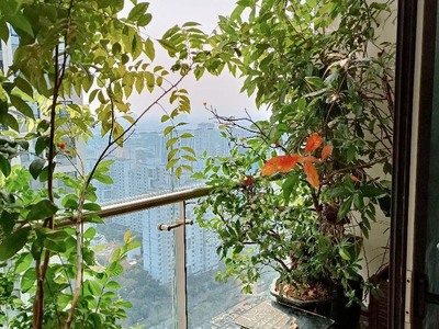 Siêu phẩm  căn hộ đẹp 93m2, có slot ô tô, ban công hướng nam - 6.5 tỷ - tin thật không ảo 2