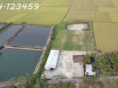 Bán đất 9 chủ ,đất đẹp đất sạch ấp chòi mòi, xã thông bình, huyên tân hồng, tỉnh đồng tháp 0