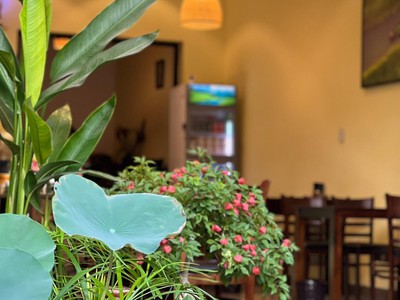 Sang nhượng thương hiệu   mặt bằng lợi nhuận trên 60tr- tháng 1