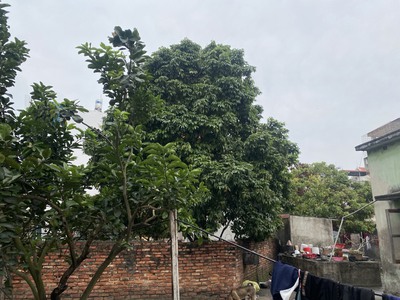 Cần Bán đất tặng nhà. Đất Lô góc 2 mặt tiền to có thể xây kinh doanh ngõ to 3m oto vào nhà 1