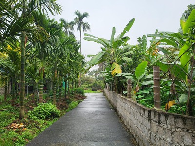 Cần bán lô đất 200m xã Ngũ Phúc, Huyện Kiến Thụy , tp Hải Phòng. 3