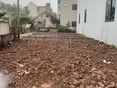Chính chủ bán rẻ mảnh đất oto đỗ cửa tại vĩnh lộc - thư phú - thường tín - hà nội. 2