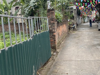 Chính chủ cần bán đất thổ cư Cầu Đen, Phú Cường, Sóc Sơn, Hà Nội 1