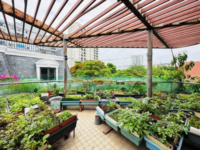 Cực phẩm-biệt thự dịch vọng,cầu giấy-sân vườn-full nội thất-sổ vuông đét- 269m-giá 76 tỷ 4