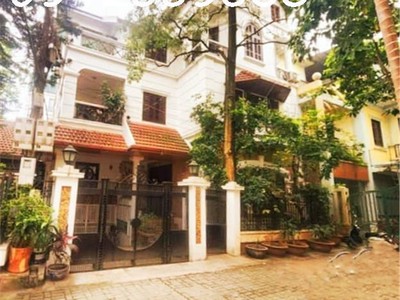 Bán cực gấp, nhà biệt thự, dịch vọng, cầu giấy, dt270m2 mt20m, phân lô, oto tránh, an sinh đỉnh 0