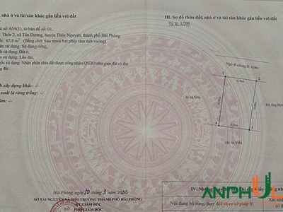 Cần bán lô đất đẹp tại Tân Dương, Thuỷ Nguyên, Hải Phòng 2