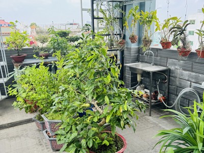 Bán nhà mặt tiền nguyễn chí thanh - nguyễn thị nhỏ, q11, dt: 4.2x15m, 6 t -6pn, 12.9 tỷ 2