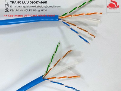 Cáp mạng chống nhiễu Altek Kabel 2