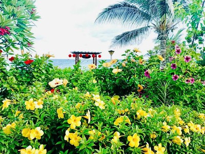 Oceanami villas   beach club - resort đẹp nhất khu vực long hải 3
