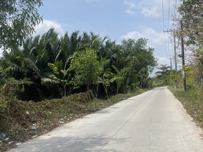 Bán lô đất sổ riêng giá rẻ trung tâm mặt tiền xã phong phú, bình chánh 0