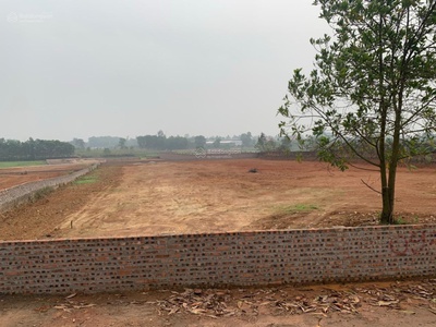 Bán 3.000 m2 đất cạnh sân golf, khu công nghiệp sạch xã minh trí, sóc sơn, hà nội 2
