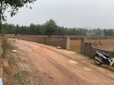 Bán 3.000 m2 đất cạnh sân golf, khu công nghiệp sạch xã minh trí, sóc sơn, hà nội 3