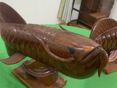 Bán cặp cá rồng ,dài 70cm,gỗ nhóm 1,nặng 7kg/con giá:6 triệu 2