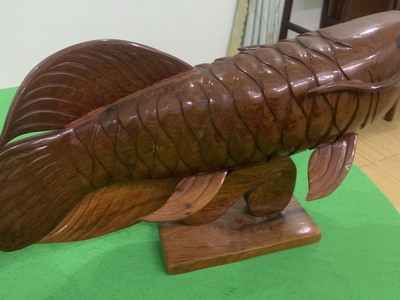 Bán cặp cá rồng ,dài 70cm,gỗ nhóm 1,nặng 7kg/con giá:6 triệu 3