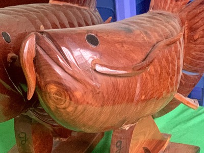 Bán cặp cá rồng ,dài 70cm,gỗ nhóm 1,nặng 7kg/con giá:6 triệu 0