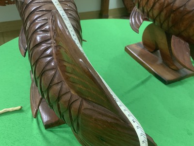 Bán cặp cá rồng ,dài 70cm,gỗ nhóm 1,nặng 7kg/con giá:6 triệu 5