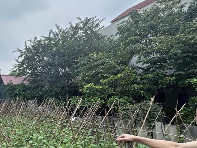 Chính chủ bán đất sổ hồng riêng giá rẻ trung tâm đông anh 0