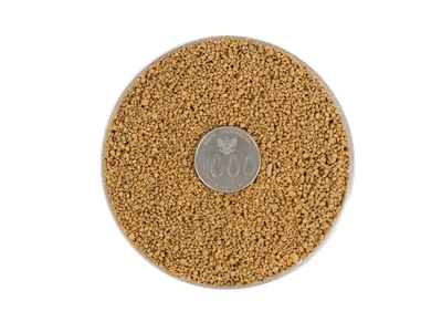 Đất Nung AKADAMA Castle- 14lit 1