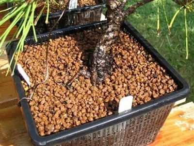 Đất Nung AKADAMA Castle- 14lit 4