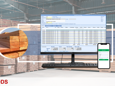 Giải pháp quản lý kho gỗ nhập khẩu hiệu quả 0
