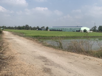 Cần bán gấp đất hơn 500m2 ở xã Phước Thạnh - Củ Chi 6