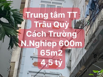 Bán nhà thị trấn trâu quỳ 65m2, ngõ ô tô,4.6 tỷ, đang cho thuê 15tr 1 tháng 0