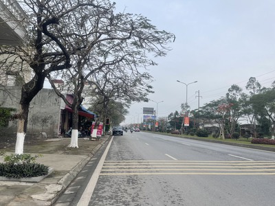 Mặt đường Phạm Văn Đồng  353  Tân Thành, Dương Kinh, Hải Phòng 100m 1