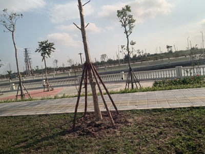 Cần bán đất dự án Bắc cầu hàn 0