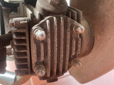 Ngon bổ rẻ cho ai có nhu cầu 2