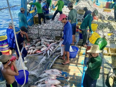 Cần gấp 15 nam ldpt ko yêu cầu kinh nghiệm có ứng tiền trước gửi về gd 0