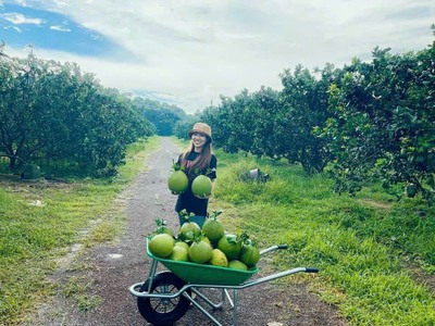 Bán 8200m2 vườn bưởi 7 năm tuổi, view hồ trị an,xã mã đà,đường xe hơi vi vu 3