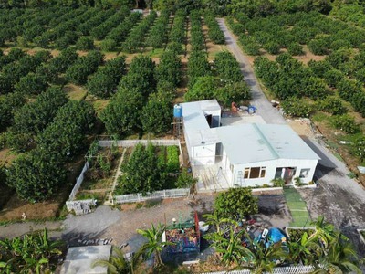 Bán 8200m2 vườn bưởi 7 năm tuổi, view hồ trị an,xã mã đà,đường xe hơi vi vu 1