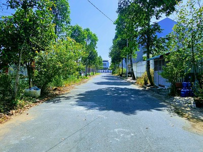 Khu dân cư Thiên Lộc - Bán nền 100m2 sổ đỏ phía sau trường giá 1 tỷ 950 triệu 5