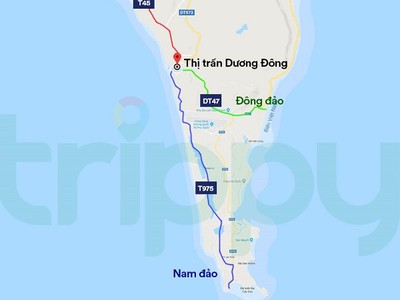 Sức hút may mắn sở hữu tầm view đẳng cấp dành cho cư dân tinh khiết trong quần thể thành phố thông 2