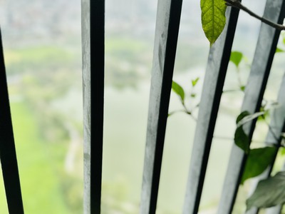 Cần tiền bán gấp căn góc 4 ngủ 132m2 n01 t1 ngoại giao đoàn view hồ cực đẹp giá bán 70tr/m2, nt xịn 3