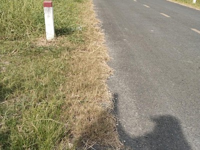 Chính chủ bán nhanh lô đất tại bờ nam, thị trấn sông đốc, huyện trần văn thời, cà mau 4