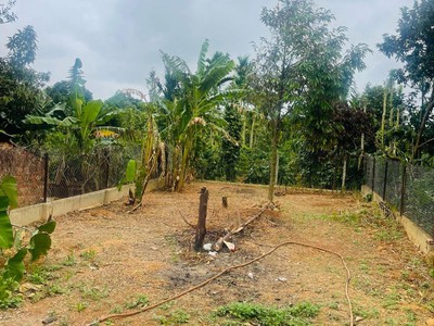 Hot      nhà chính chủ - giá tốt - bán nhà mặt tiền đường nhựa kinh doanh cao thắng, eakao 1