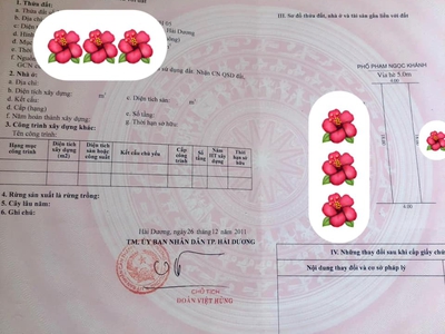 Bán đất Phạm Ngọc Khánh - Đông Nam Cường TP Hải Dương 2