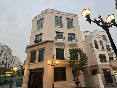 Bán căn BT góc Cọ Xanh 400m2 sàn Phong cách Florida Vin Ocean Park 2 0