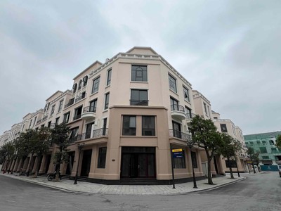 Bán căn BT góc Cọ Xanh 400m2 sàn Phong cách Florida Vin Ocean Park 2 4